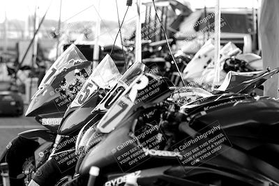 media/Mar-24-2023-Apex Assassins (Fri) [[54485cb5ff]]/Around the Pits/